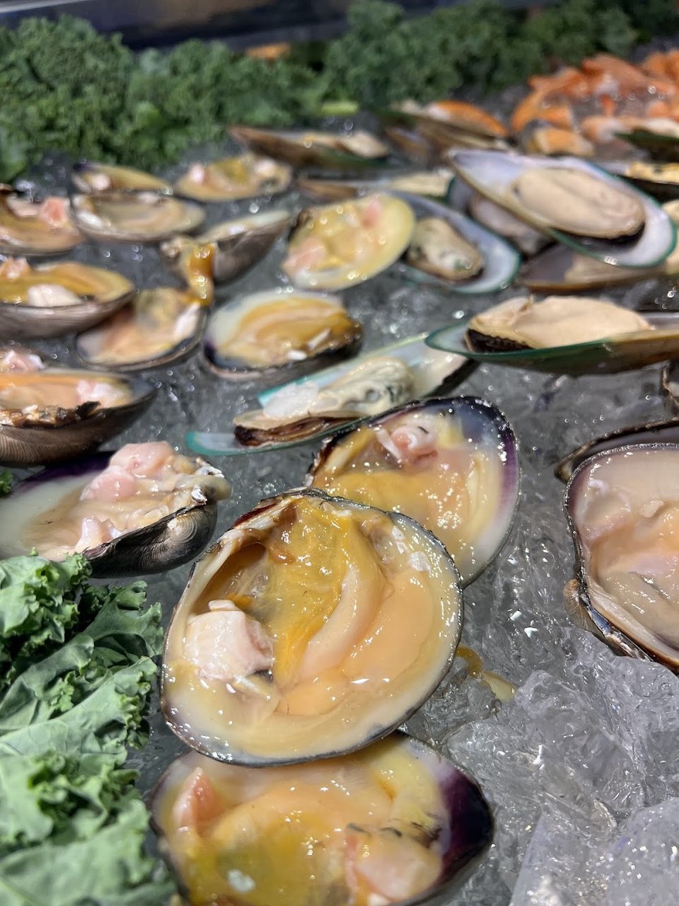 Oyster